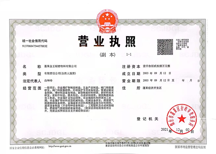 企业营业执照