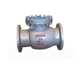 antiwear check valve